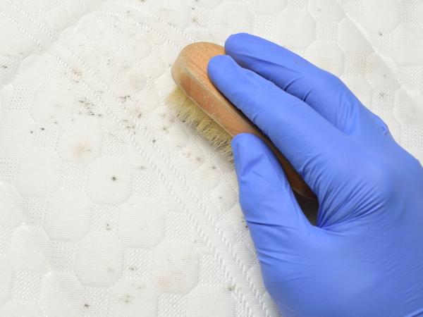 How to Get Rid of Mould on Fabric: Simple and Effective Tips photo
