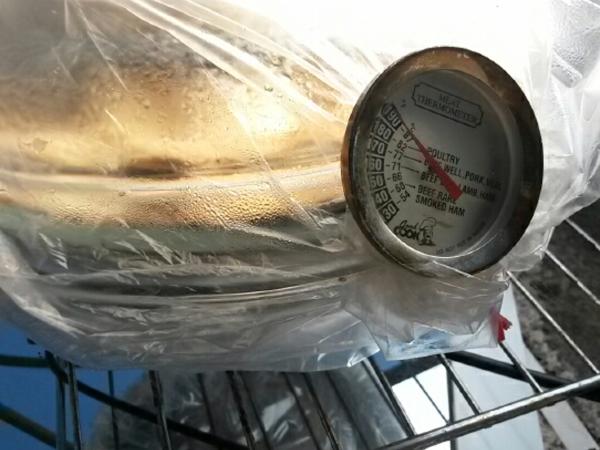 Leftovers, Potlucks and the Two Temperatures Every Home Cook Should Know photo