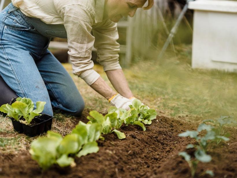 How to Build a Raised Garden Bed photo
