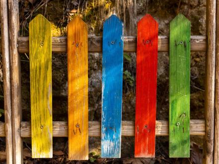 How to Paint a Timber Fence So It Lasts photo